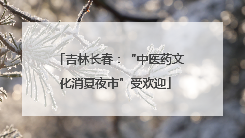 吉林长春：“中医药文化消夏夜市”受欢迎