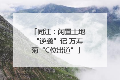 同江：闲置土地“逆袭”记 万寿菊“C位出道”