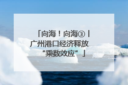 向海！向海③丨广州港口经济释放“乘数效应”
