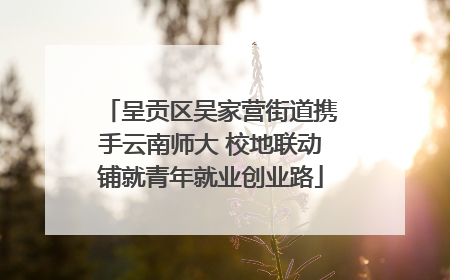 呈贡区吴家营街道携手云南师大 校地联动铺就青年就业创业路