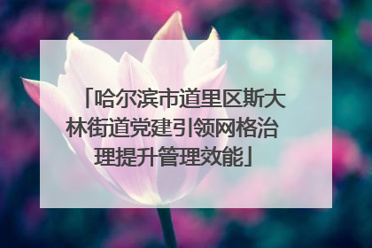 哈尔滨市道里区斯大林街道党建引领网格治理提升管理效能