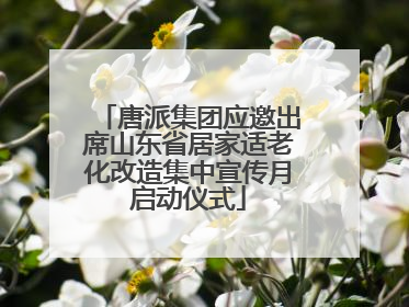唐派集团应邀出席山东省居家适老化改造集中宣传月启动仪式