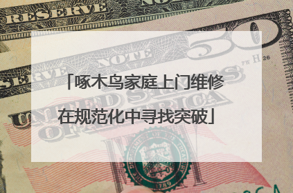啄木鸟家庭上门维修在规范化中寻找突破