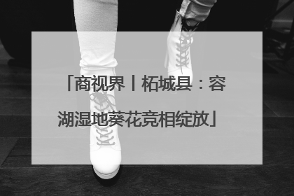 商视界丨柘城县：容湖湿地葵花竞相绽放