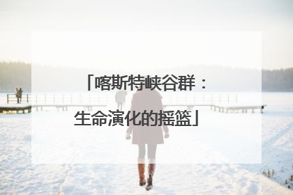 喀斯特峡谷群：生命演化的摇篮