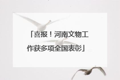 喜报！河南文物工作获多项全国表彰