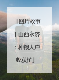 图片故事丨山西永济：种粮大户收获忙