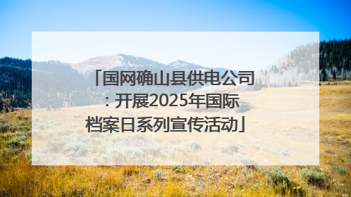国网确山县供电公司：开展2025年国际档案日系列宣传活动