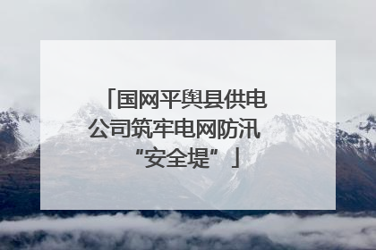 国网平舆县供电公司筑牢电网防汛“安全堤”