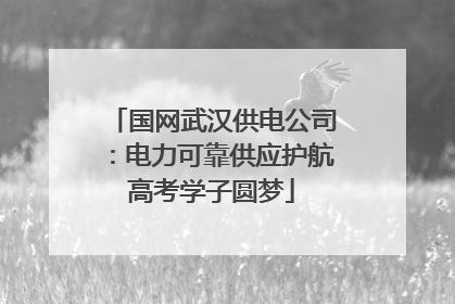 国网武汉供电公司：电力可靠供应护航高考学子圆梦