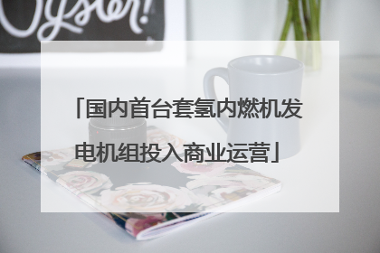 国内首台套氢内燃机发电机组投入商业运营