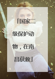 国家二级保护动物，在南昌获救