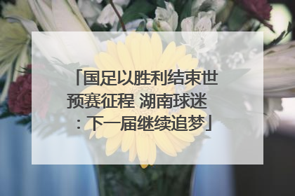 国足以胜利结束世预赛征程 湖南球迷：下一届继续追梦