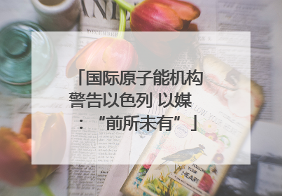 国际原子能机构警告以色列 以媒：“前所未有”
