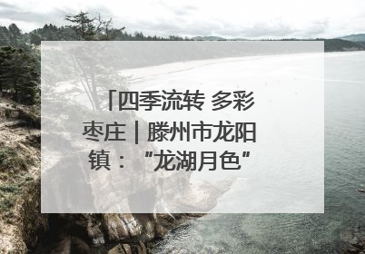 四季流转 多彩枣庄｜滕州市龙阳镇：“龙湖月色”向日葵花海 绘就乡村振兴新画卷