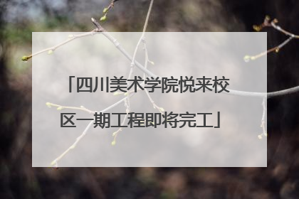 四川美术学院悦来校区一期工程即将完工