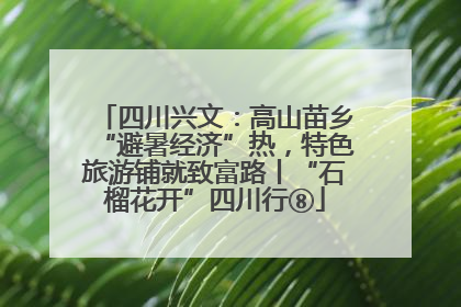 四川兴文：高山苗乡“避暑经济”热，特色旅游铺就致富路丨“石榴花开”四川行⑧
