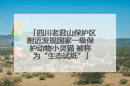 四川老君山保护区附近发现国家一级保护动物小灵猫 被称为“生态试纸”
