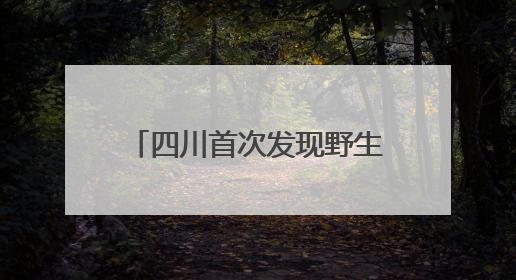 四川首次发现野生朱鹮夏季栖息行为