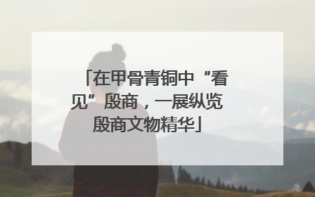 在甲骨青铜中“看见”殷商，一展纵览殷商文物精华
