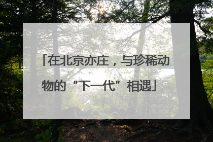 在北京亦庄，与珍稀动物的“下一代”相遇