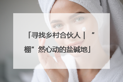 寻找乡村合伙人｜“棚”然心动的盐碱地