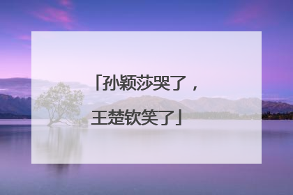 孙颖莎哭了，王楚钦笑了