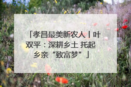 孝昌最美新农人丨叶双平：深耕乡土 托起乡亲“致富梦”