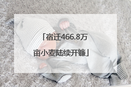 宿迁466.8万亩小麦陆续开镰