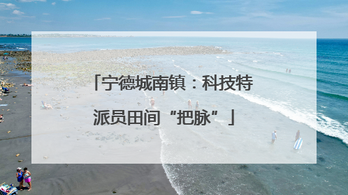 宁德城南镇：科技特派员田间“把脉”