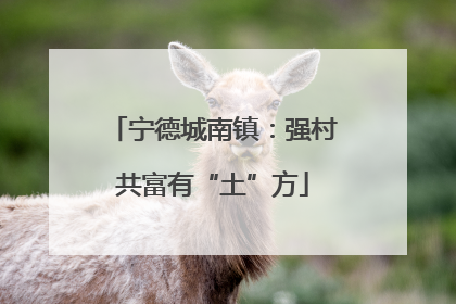 宁德城南镇：强村共富有“土”方