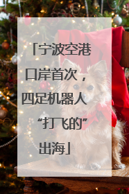宁波空港口岸首次，四足机器人“打飞的”出海