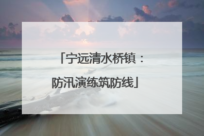 宁远清水桥镇：防汛演练筑防线