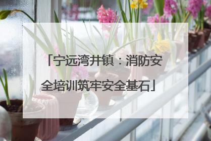 宁远湾井镇：消防安全培训筑牢安全基石