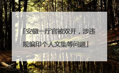 安徽一厅官被双开，涉违规编印个人文集等问题