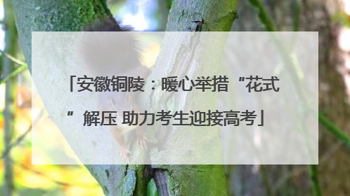 安徽铜陵：暖心举措“花式”解压 助力考生迎接高考