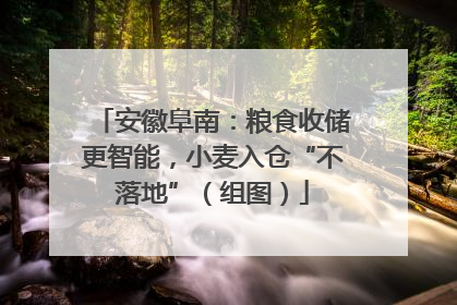安徽阜南：粮食收储更智能，小麦入仓“不落地”（组图）