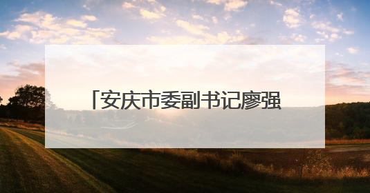 安庆市委副书记廖强出任宿松县委书记