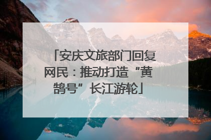 安庆文旅部门回复网民：推动打造“黄鹄号”长江游轮