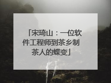 宋琦山：一位软件工程师到茶乡制茶人的蝶变