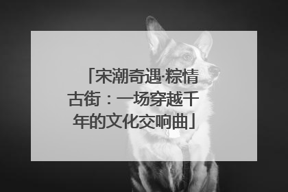 宋潮奇遇·粽情古街：一场穿越千年的文化交响曲