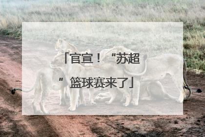 官宣！“苏超”篮球赛来了