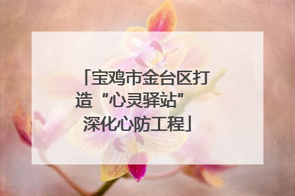 宝鸡市金台区打造“心灵驿站” 深化心防工程