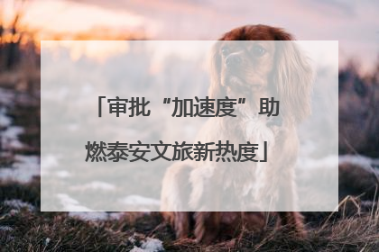 审批“加速度”助燃泰安文旅新热度