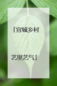 宣城乡村 艺里艺气