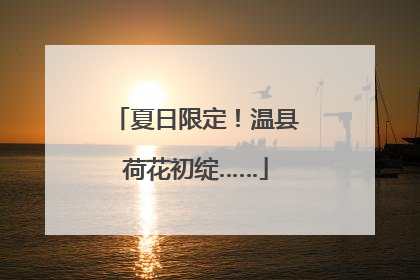 夏日限定！温县荷花初绽……