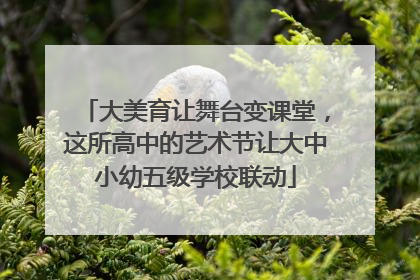 大美育让舞台变课堂，这所高中的艺术节让大中小幼五级学校联动