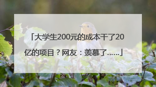 大学生200元的成本干了20亿的项目？网友：羡慕了……