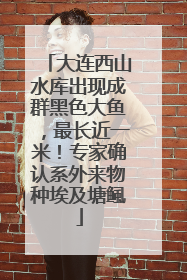 大连西山水库出现成群黑色大鱼，最长近一米！专家确认系外来物种埃及塘鲺