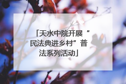天水中院开展“民法典进乡村”普法系列活动